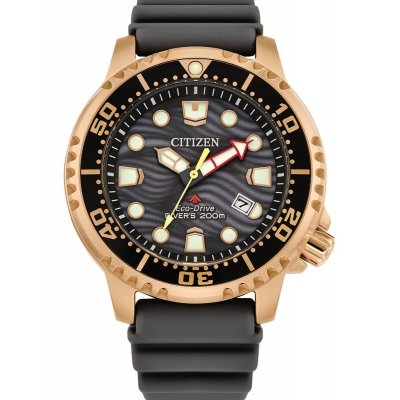 principal Reloj Citizen Promaster BN0163-00H Diver’s acero