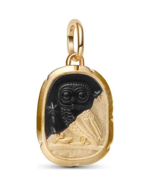Pandora Medallion 764805C01 Owl Lux et sapientia