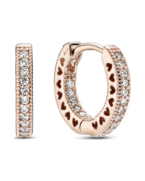 Cercles d'oreilles 286317C01 femme argent