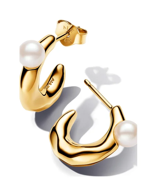 Pendientes Pandora de aro 263261C01 Essence  