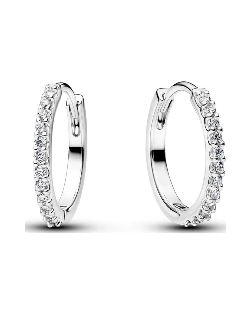 Pandora Timeless earrings Pandora Timeless 294649C01 bright