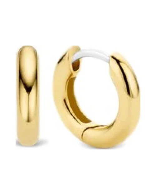 Earrings Ti Sento 7210YS small hoops