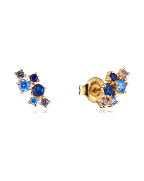 Earrings Viceroy Trend 13134E100-33 circonitas