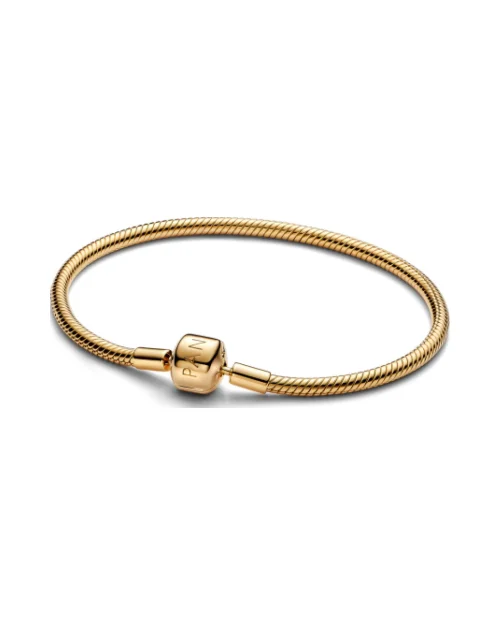 Pandora Moments armband 563390C00-20 slang