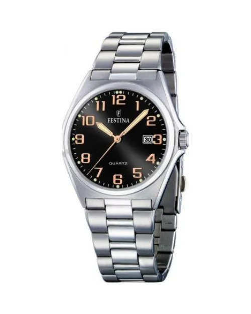 Festina Classic Steel Watch F16374/8 man steel