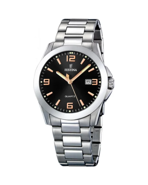 Festina Classic Steel Watch F16376/6 man