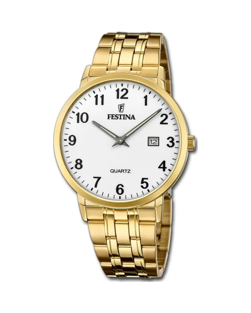 Zegarek męski Festina Classic Steel F20513/1